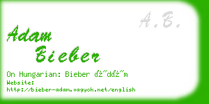 adam bieber business card